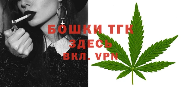 ПСИЛОЦИБИНОВЫЕ ГРИБЫ Лихославль