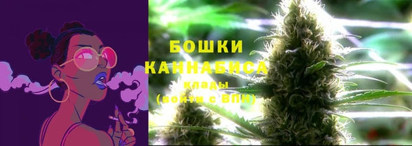 дмт Лиски