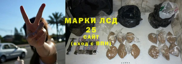 ПСИЛОЦИБИНОВЫЕ ГРИБЫ Лихославль
