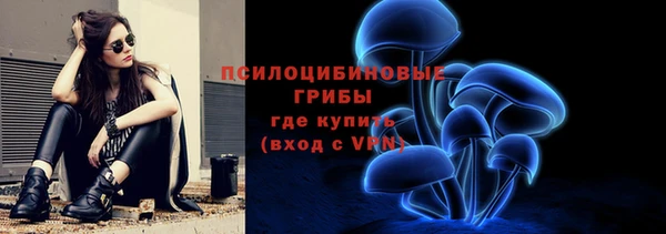 ПСИЛОЦИБИНОВЫЕ ГРИБЫ Лихославль
