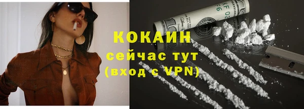 дмт Лиски