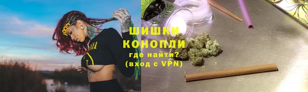 дмт Лиски