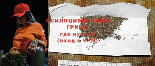 ПСИЛОЦИБИНОВЫЕ ГРИБЫ Лихославль