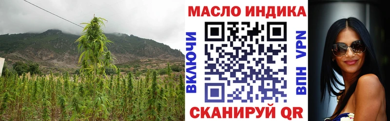 Купить где  Емва  ТГК гашишное масло 