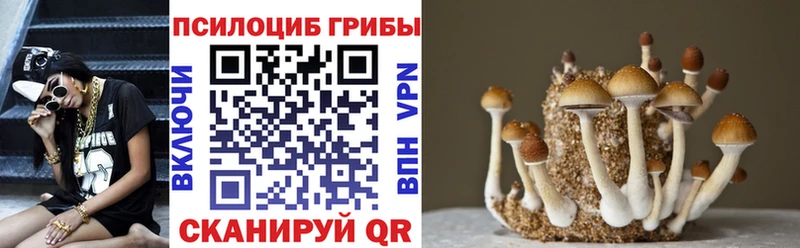 Купить где  Емва  Псилоцибиновые грибы MAGIC MUSHROOMS 